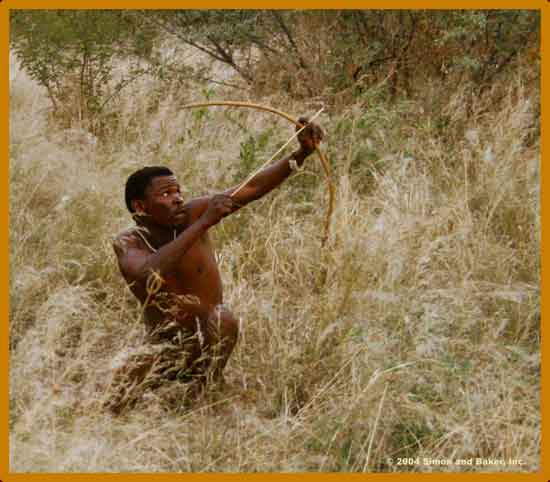 Africa,-bushman-hunting.jpg