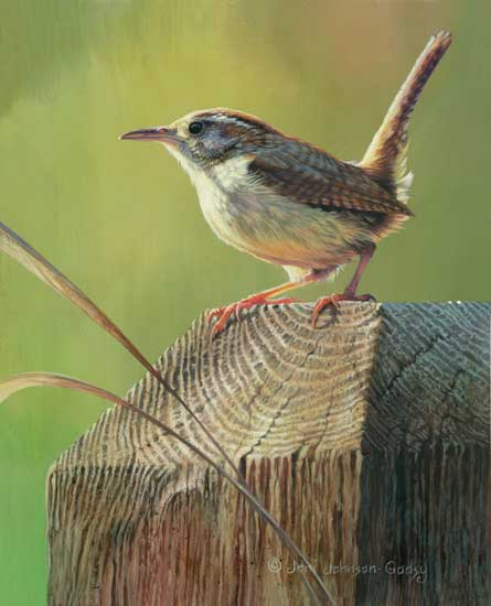 deck post sentry carolina wren print deck post sentry carolina wren print