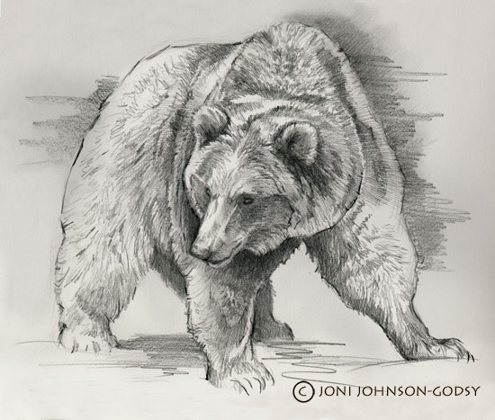 yukon-grizzly-sketch-copy - Joni Johnson-Godsy Wildlife Art Oil ...